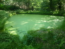 lavoir Ambazac