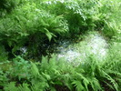 lavoir Jabreilles-les-Bordes
