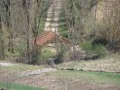 Photo 1 lavoir LABASTIDE MURAT