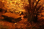 Photo 1 lavoir FLAMMERECOURT Photo 1 lavoir FLAMMERECOURT