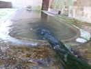 Photo 1 lavoir CHEVILLON Photo 1 lavoir CHEVILLON
