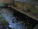 Photo 2 lavoir MORTAGNE AU PERCHE