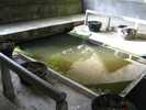 Photo 3 lavoir COURGENARD
