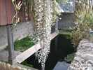 Photo 1 lavoir LE LUART