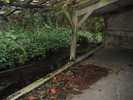 Photo 2 lavoir SEMUR EN VALLON