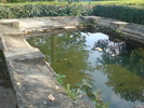 Photo 1 lavoir LA JONCHERE ST MAURICE Photo 1 lavoir LA JONCHERE ST MAURICE