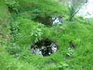 Photo 2 lavoir JABEILLES LES BORDES Photo 2 lavoir JABEILLES LES BORDES