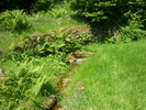 Photo 2 lavoir JABEILLES LES BORDES Photo 2 lavoir JABEILLES LES BORDES