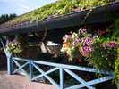 Photo 2 lavoir LADIGNAC LE LONG