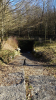 Photo envoyée par Robert Brayamnd le 20/02/2019 à 09h26