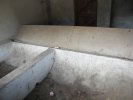 Photo envoyée par Tom le 16/11/2016 à 18h49