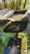 Lavoir de ST GERMAIN LES PAROISSES