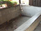 Photo envoyée par Tom le 18/11/2016 à 14h00
