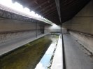 Lavoir de CROUTTES SUR MARNE