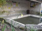 Lavoir de CONNIGIS