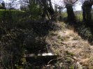 Photo envoyée par Sandrine marteau le 07/04/2019 à 18h30