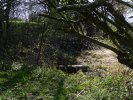 Photo envoyée par Sandrine marteau le 07/04/2019 à 18h30