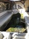 Lavoir de TRELOU SUR MARNE