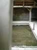 Lavoir de MAAST ET VIOLAINE