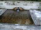 Lavoir de NOUVRON VINGRE