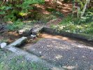 Photo envoyée par veropropo le 05/10/2021 à 22h22