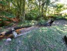 Photo envoyée par veropropo le 05/10/2021 à 22h22