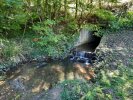 Photo envoyée par veropropo le 05/10/2021 à 22h22