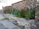 Photo envoyée par Nico le 22/06/2015 à 20h49