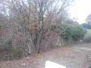 Lavoir de CARIGNAN