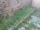 Lavoir de SACHY
