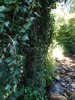 Photo envoyée par Tom le 02/08/2019 à 19h43