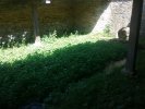 Lavoir de BUZANCY