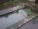 Lavoir de LA NEUVILLE LES WASIGNY
