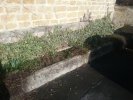 Lavoir de VRIGNE MEUSE