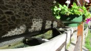 Lavoir de MERENS LES VALS