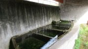 Lavoir de MALLEON