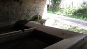 Lavoir de ROQUEFIXADE