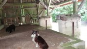 Lavoir de DOMMARTIN LE COQ