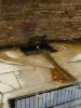 Lavoir de CLEREY