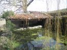 Photo envoyée par fouchard jean-paul le 09/03/2015 à 15h00