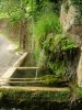 Lavoir de SALLES LA SOURCE