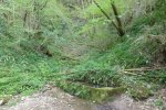 Photo envoyée par Graves le 22/04/2019 à 00h49
