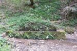 Photo envoyée par Graves le 22/04/2019 à 00h49