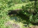 Photo envoyée par fouchard jean-paul le 03/06/2015 à 17h30