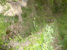 Photo envoyée par Graves le 23/04/2019 à 23h57