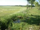 Photo envoyée par fouchard jean-paul le 03/06/2015 à 17h33