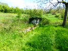 Photo envoyée par Graves le 23/04/2019 à 00h10