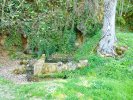 Photo envoyée par Graves le 22/04/2019 à 00h20