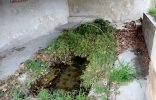 Lavoir de MIRAMAS