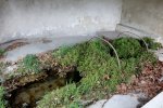 Lavoir de MIRAMAS